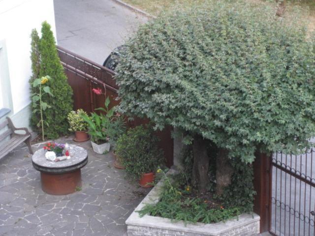 Ferienwohnung Lienz Egger Экстерьер фото